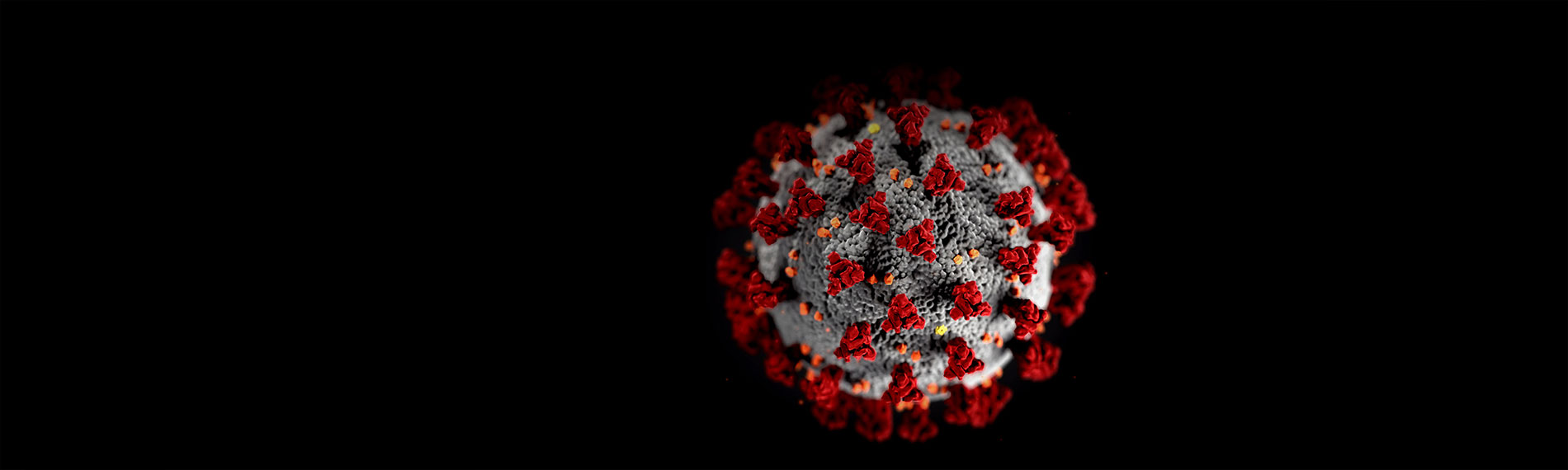 Microscopic image of coronavirus